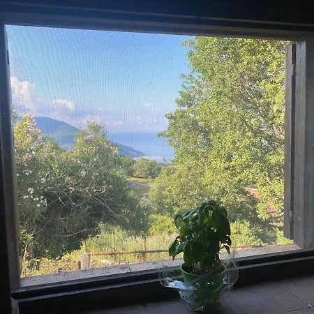 Apartment Agros