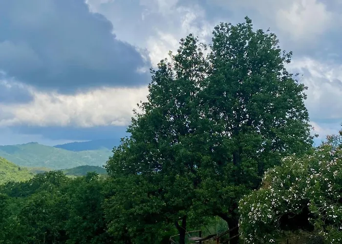 Agros Apartmán Torraca